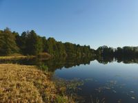 Holzm&uuml;hlerweiher